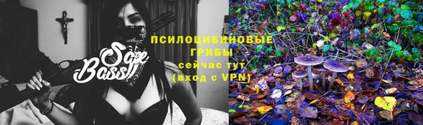 прущие крисы Алексеевка