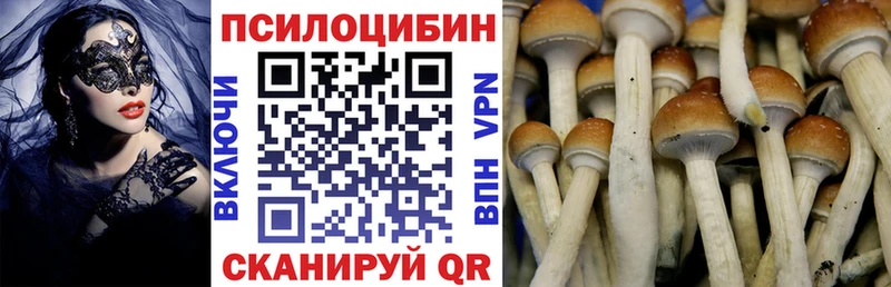 Галлюциногенные грибы Cubensis Новопавловск