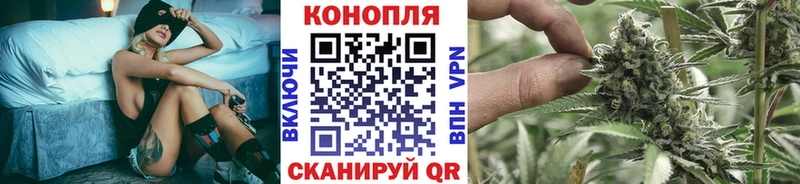 Конопля планчик  Новопавловск 
